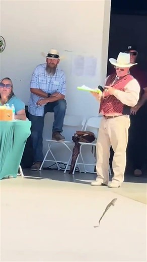 Frog Jumping Contest Gone Weird 🐸😮