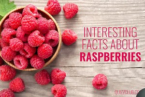 Interesting facts about raspberries – the world’s most delicate fruit