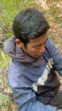 Trekking in the jungle of Indo-Burma border.