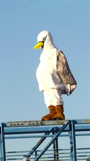 Rémi Gaillard on Instagram: "🐦"