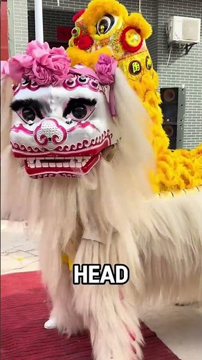 Girl's First Lion Dance Nerves