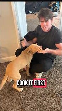 #alien #comedy #bf #skit #funny #shorts #viral video #entertainment #comedy #daniel cropley #viral