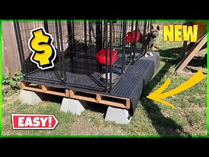 Best Cheap Raised DOG Kennels ‼️ (DIY Tutorial)