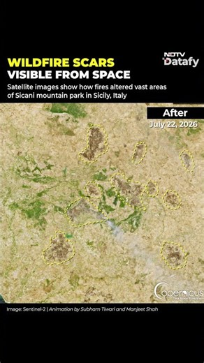 Satellite Images Reveal Sicily's Wildfire Scars From Space | NDTV Datafy