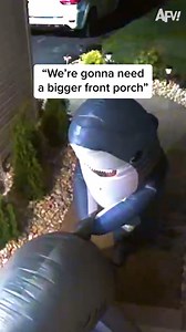 Cue the Jaws theme... 🤣 #afv #fail #funny #fblifestyle | America's Funniest Home Videos