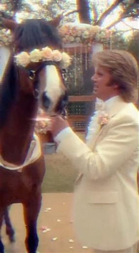 Soap OperAI: Runaway Horse Bride #wedding #bride #groom #runawaybride #horse #soapopera #drama ##ai