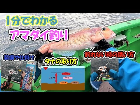 Learn about tilefish fishing in just one minute. How to set the depth, how to fish, how to lure, ...