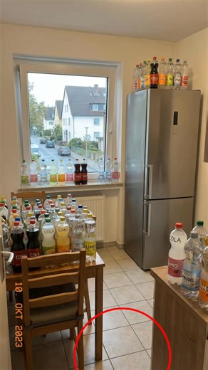 ❗️DAS EINZIGE Getränkesystem, dass du 2026 brauchst! Eine JuiceBox...