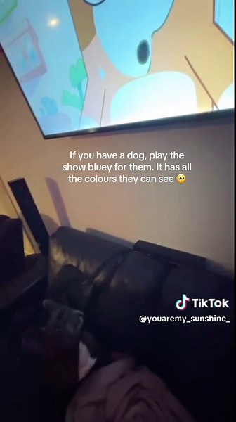 #frenchbulldog #frenchie #dog #dogsoftiktok #dogsoftiktok #frenchiesoftiktok #fyp