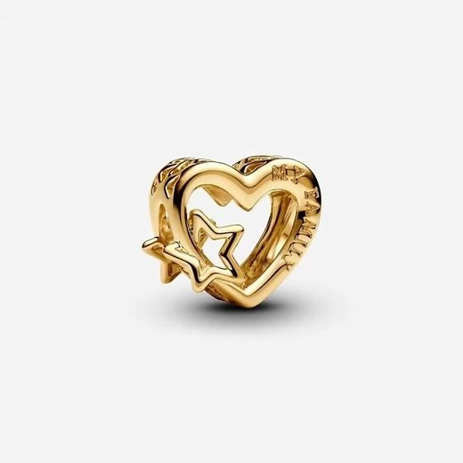 Gold Pandora bracelet ideas ⭐️🐆🥂#pandora