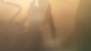 Morning on #LV426 By Robb Gardner | Xenomorph Fanspage