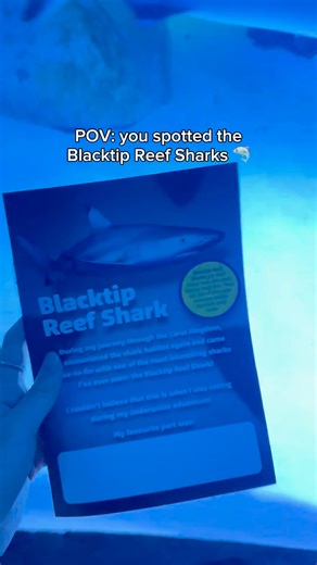 1.9K views · 4 comments | Have you spotted our Blacktip Reef Sharks following our Colourful Creatures trail...? Out of all our SEA LIFE's in the UK, only SEA LIFE London Aquarium have a dedicated shark tank! This will be ultimate face-to-fin encounter that you won't find anywhere else麗 #shark #blacktipshark #marine #sealife #London #aquarium | SEA LIFE London Aquarium™ | Facebook