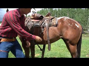 How to Saddle a Horse
