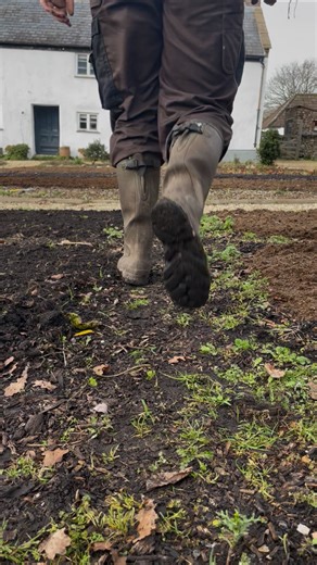 We’re nearly at the end of what often feels like the longest month of the year ❄️ At River Cottage HQ, January has been made up of frosty mornings, delicious new food, escaped pigs, and plenty of rain. Onwards to February! | River Cottage