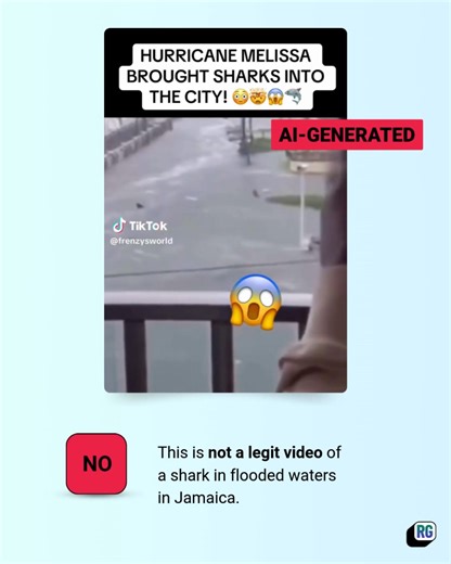 3K views · 11 reactions | The News Literacy Project on Reels | Facebook