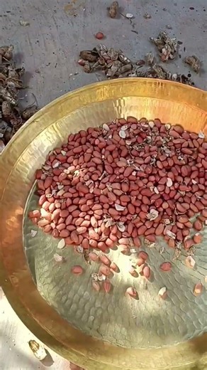 peel peanut from the shell #viralshort #youtubeshorts #peanut