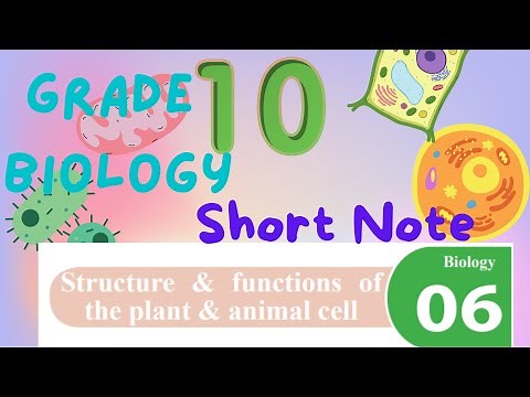Grade 10 English Medium Science Lesson 10 | Short Note | Lesson Review | Revision Note