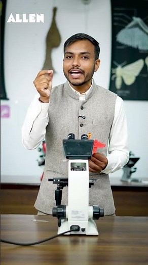 Amazing Pollen Grain Structure of Hibiscus | #botanyshorts