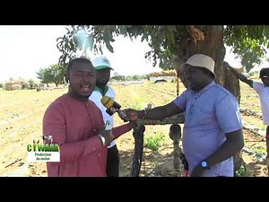 PRODUCTION DE MELON au mali 2/2