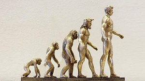 NCERT removes Darwin's evolution theory from science textbook, 1800 scientists and educators pen open letter