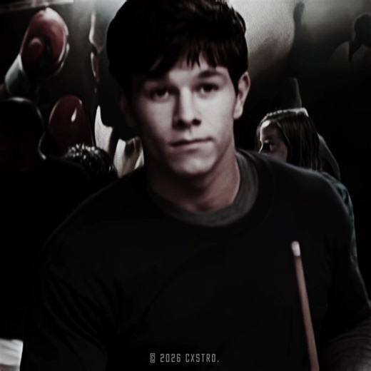 Exploring the Aesthetic of Moggers and Pop Culture