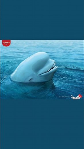 Marketing Lessons from Colgate / Colgate Ad Breakdown | Colgate Advertising Strategy