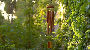 Watch New West Natural Bamboo Wind Chimes for Outdoor Use - Wooden Deep Resonance Serenity Chime on Amazon Live