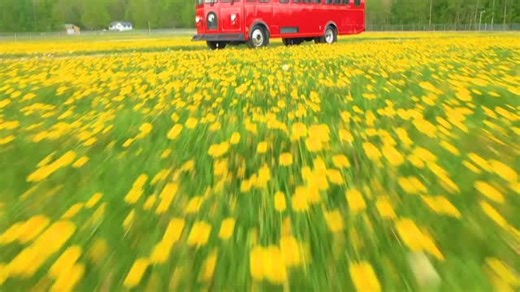 The future of trolley transportation is here - without compromising reliability. For 30 years, transit agencies and private operators across the U.S. and beyond have trusted us to deliver dependable trolley and bus solutions. Today, that same proven platform is available with zero-emission electric power, designed to integrate seamlessly into existing operations. From quieter streets to lower lifecycle costs, electrified trolley buses are helping communities meet sustainability goals while maint