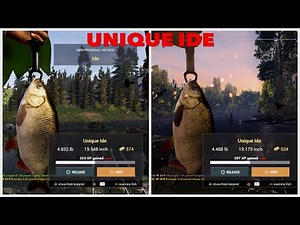 Unique IDE Hotspot Guide - Selenge River - Fishing Planet