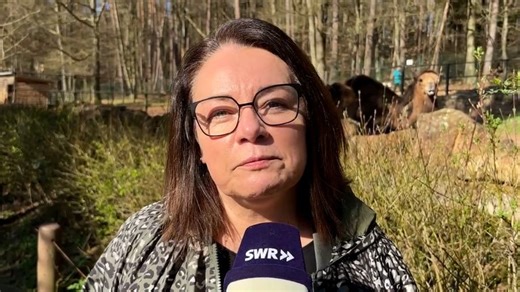 Das plant die neue Direktorin für den Zoo Kaiserslautern