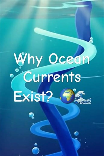 Why Do Ocean Currents Exist? 🌍🌊 #Shorts