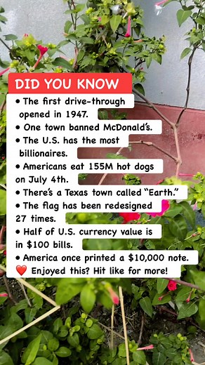 🇺🇸 Surprising Facts About America 😮 #USAFacts #AmericanHistory #DidYouKnow | Learners