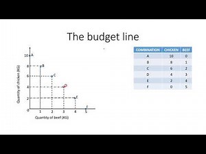 THE BUDGET LINE
