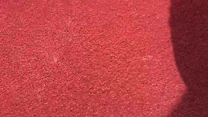 Need I say more? | First Step Academy