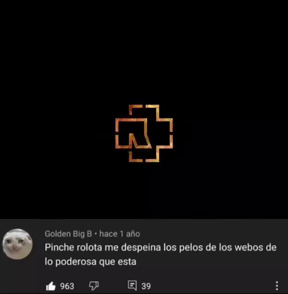 Rammstein - Te quiero puta! @Rammstein Official #rammstein #tequieroputa #subespañol #parati #fyp