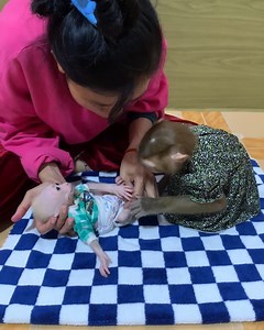 After wake up all adorable baby monkey cleaning and change urine pant than mom sharing milk drink . . . #jenniferlopez #alexandradaddario #AngelinaJolie #MeganFox #margotrobbie #chrisevans #ChristianBale #AnneHathway #ScarlettJohansson #elizabetholsen #JenniferLopez #JenniferAniston #JenniferLawrence #priyankachopra #KristenStewart #HaileeSteinfeld #wonderwoman #DC #mcu #MeganFox #kimkardashian #kendalljenner #monkeylove #monkeybaby #adorable #adorablemonkey #babyanimal #monkeysmart #reelsfypシ #