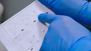 Animal Models of Depression - Chronic Despair Model CDM