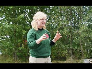 Gør-Det-Selv Svampedyrkning / TagTomat / DYRK