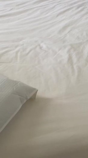 Minimalist and Spacious Full Design Backpack