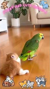 Ultimate Cute & Funny Animals Compilation 🐶🐱 Try Not To Laugh 😂 #Shorts #trynottolaugh #cutecats
