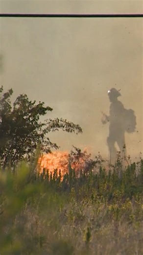 How to protect yourself from wildfires