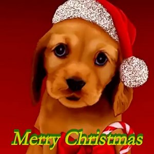 33K views · 5.1K reactions | ❤⛄❤⛄❤⛄ | ROSA | Facebook