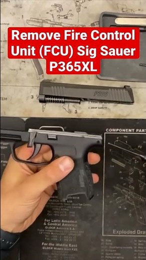 Removing The Fire Control Unit (FCU) Sig Sauer P365XL