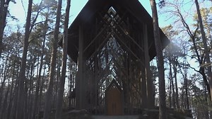 Arkansas wedding industry professionals predict future trends post-COVID