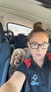 Click link in bio for exclusive discounts for the jobber app a FREE trial @Jobber ❤️ #youngbusinessowner #cleanersoftiktok #businesshack #cleantok #motivation #hussle | Care cleaning servicess