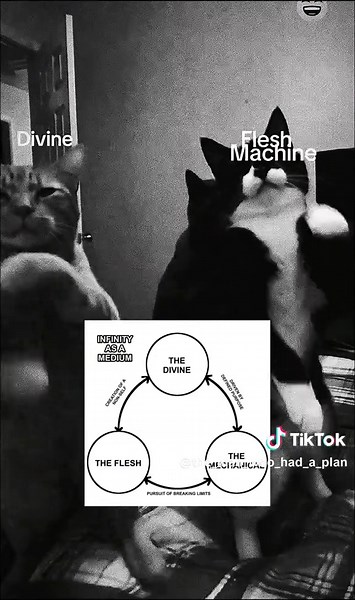 the flesh, the divine, and the mechanical | dancing cats meme | #philosophy #cats #dancing #psychology #fyp