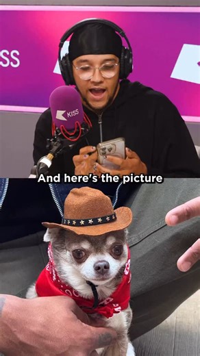 6.2K views · 1.3K reactions | The Good, The Bad And The Elmo 鸞️ #petewicks #kissbreakfast #fordogssake #dogcostume | KISS FM UK | Facebook