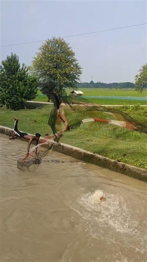 wow fishing river net fishing catt Viral fishing. #fishing #shadowlandswow #fishsense #fish