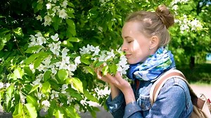 Woman sneezing from flowering tree. Concept: seasonal allergy