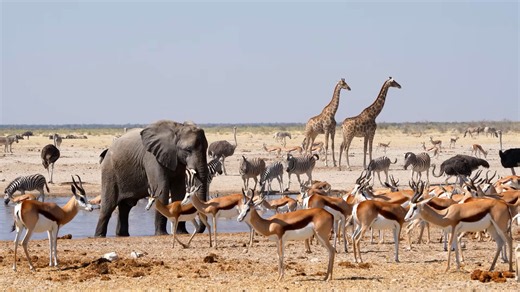 Top 10 places to visit in Namibia travel guide